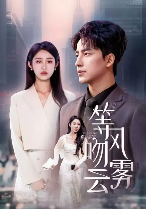 隐秘的角落海报